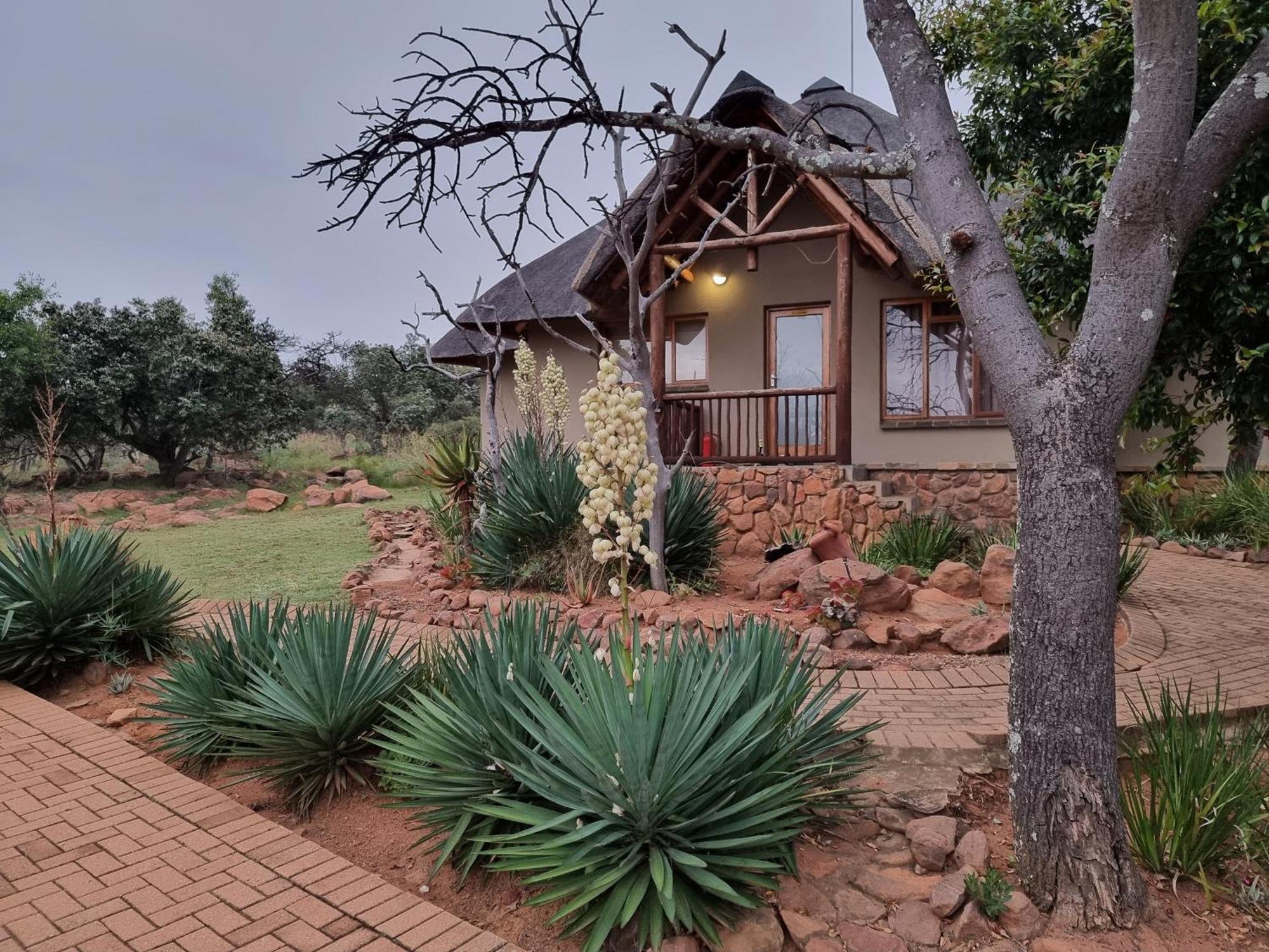 Matingwe Lodge Hartbeestfontein Kültér fotó